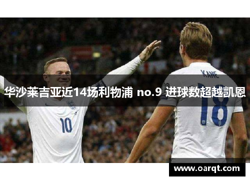 华沙莱吉亚近14场利物浦 no.9 进球数超越凯恩
